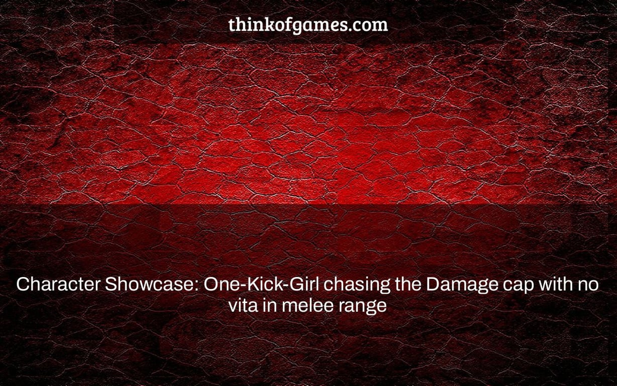 Character Showcase: One-Kick-Girl chasing the Damage cap with no vita in melee range