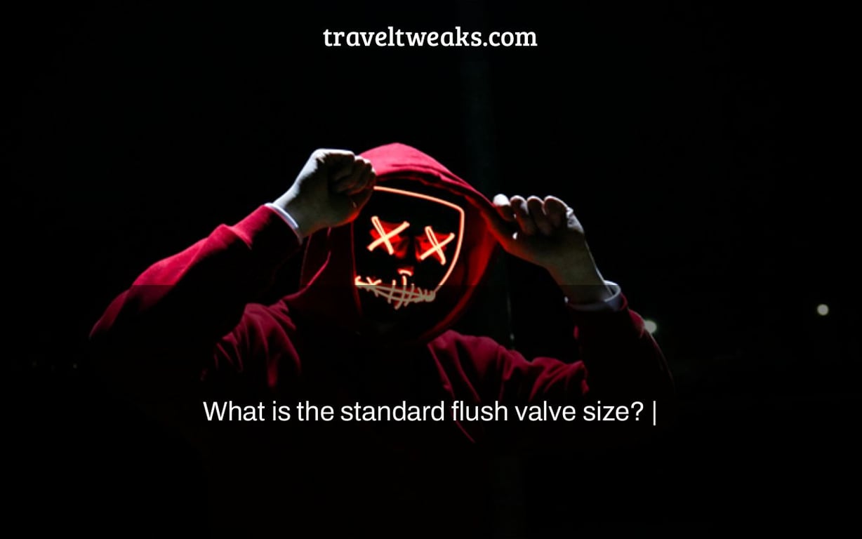 What is the standard flush valve size? |
