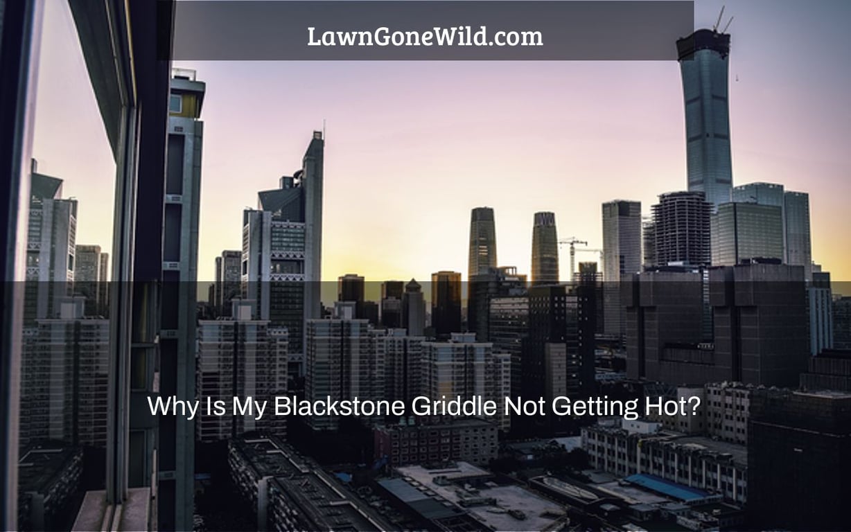 Why Is My Blackstone Griddle Not Getting Hot? Lawn Gone Wild