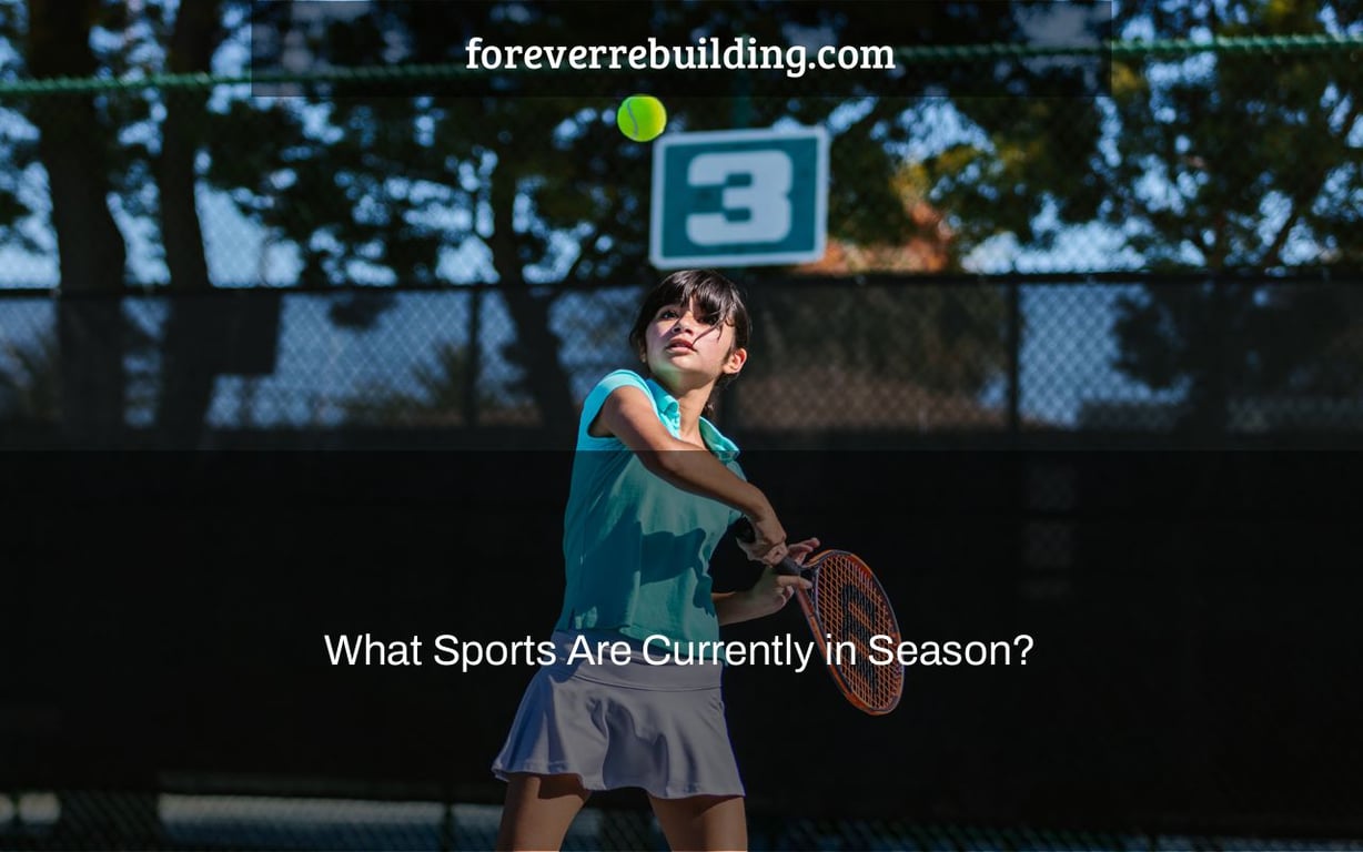 What Sports Are Currently in Season?