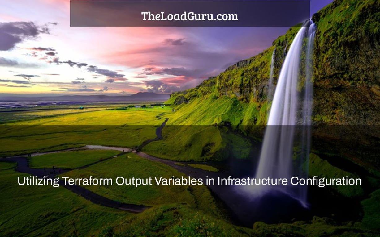 Utilizing Terraform Output Variables in Infrastructure Configuration