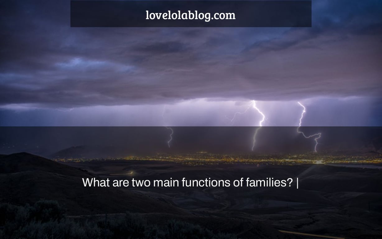 What are two main functions of families? |