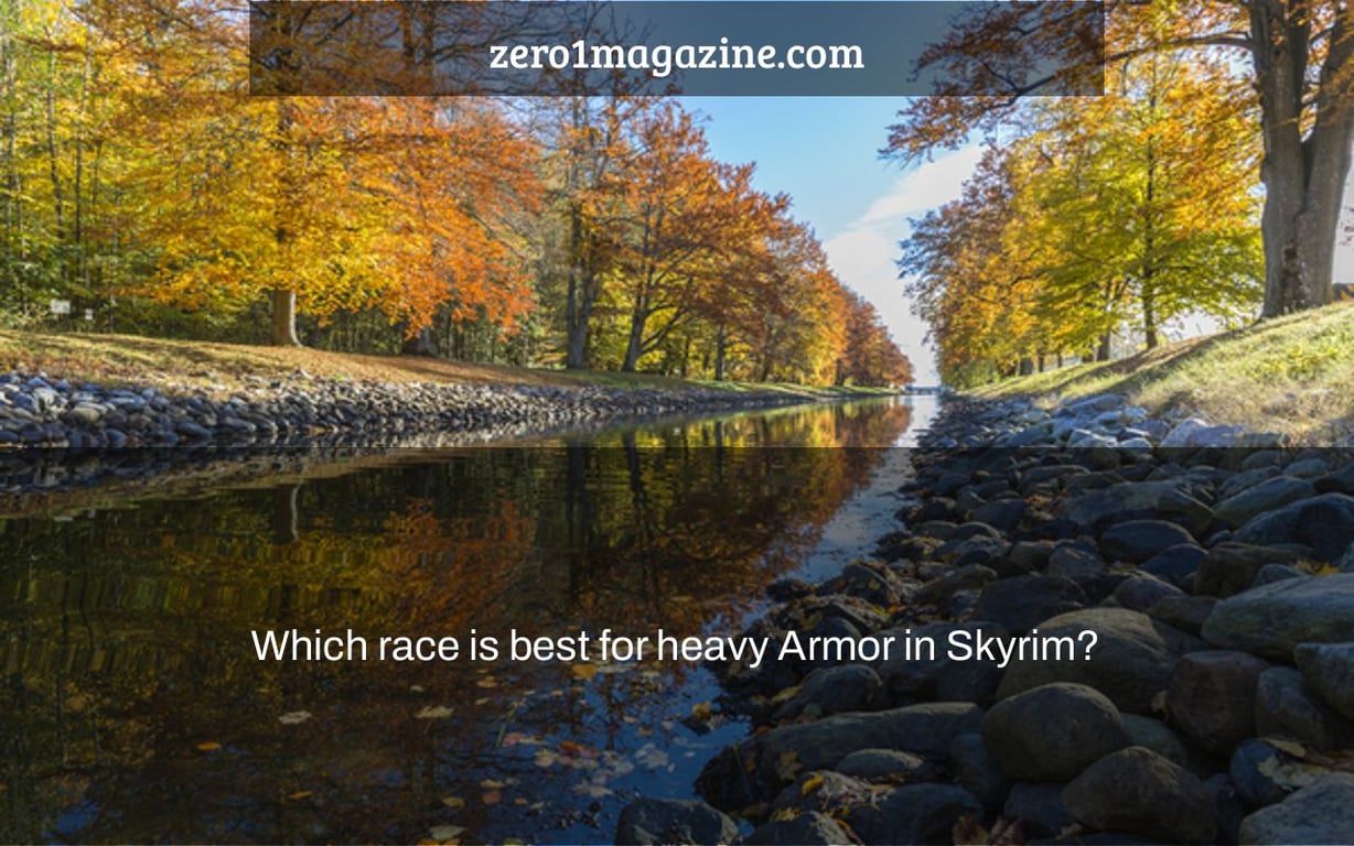 Which race is best for heavy Armor in Skyrim?