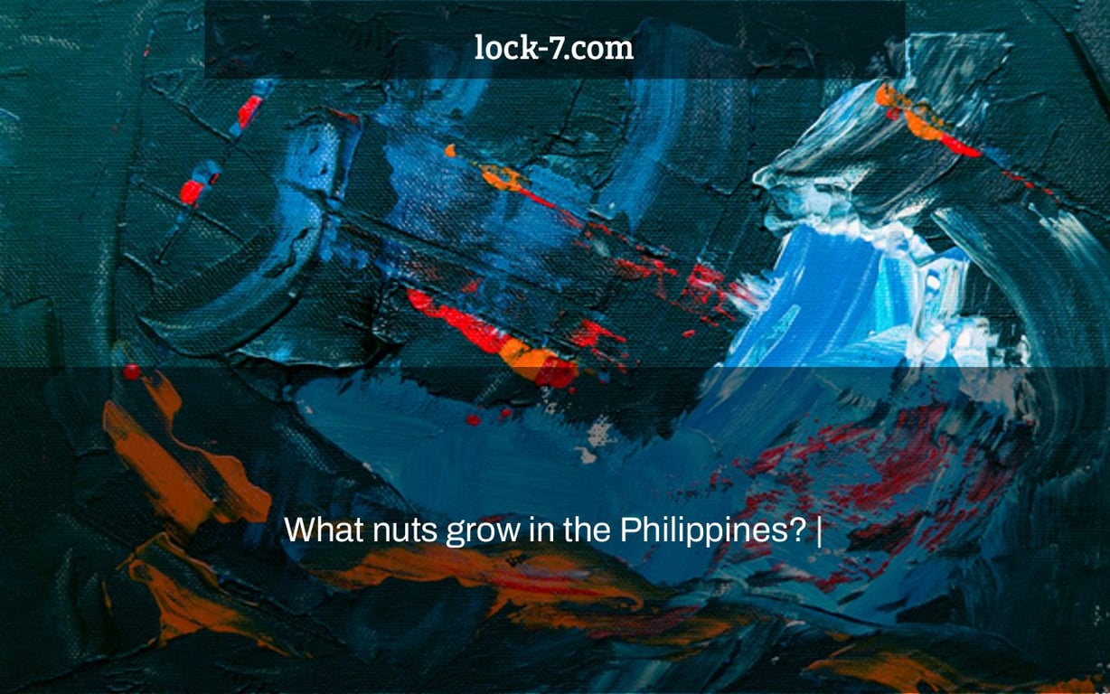 What nuts grow in the Philippines? |