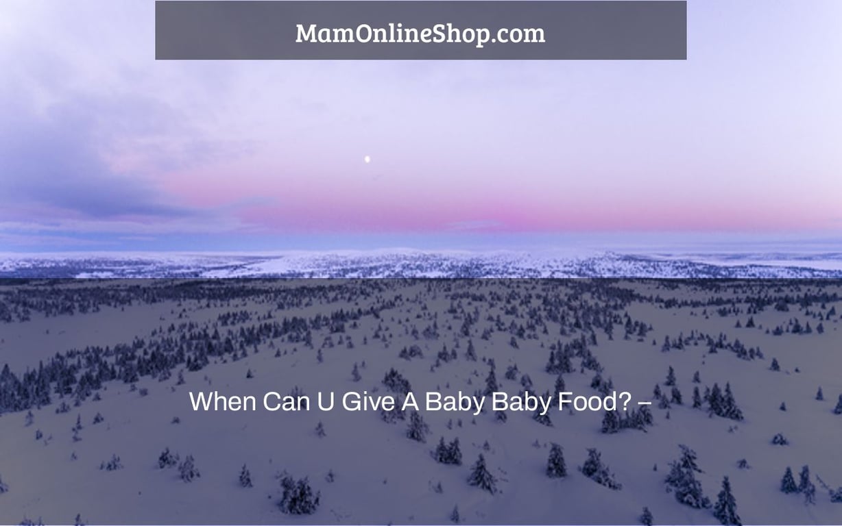 When Can U Give A Baby Baby Food? –