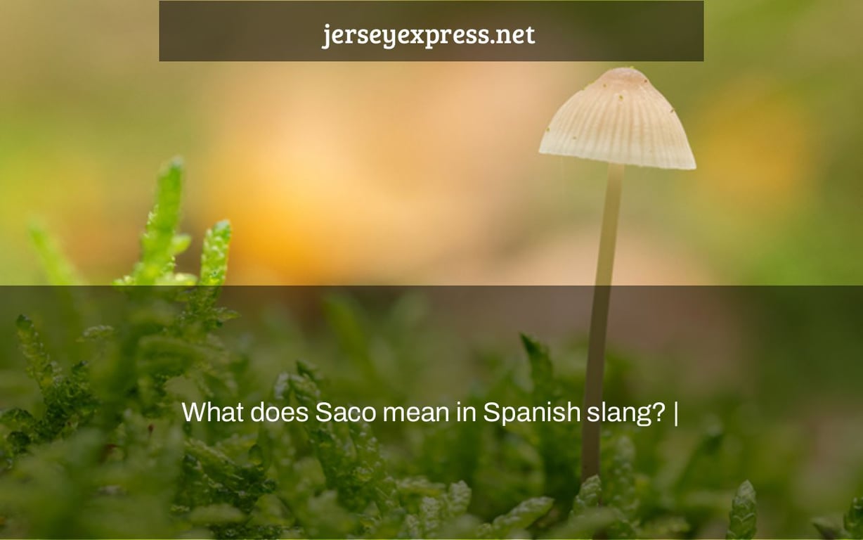 What does Saco mean in Spanish slang? |