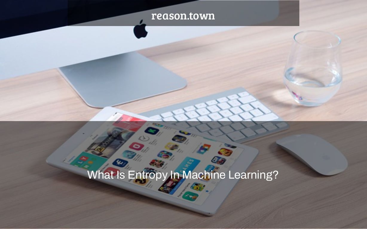 What Is Entropy In Machine Learning?
