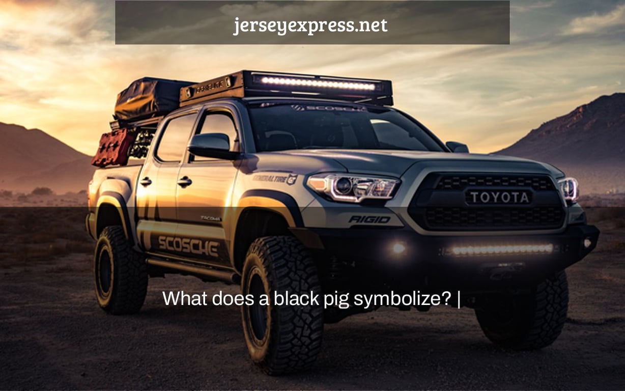 What does a black pig symbolize? |