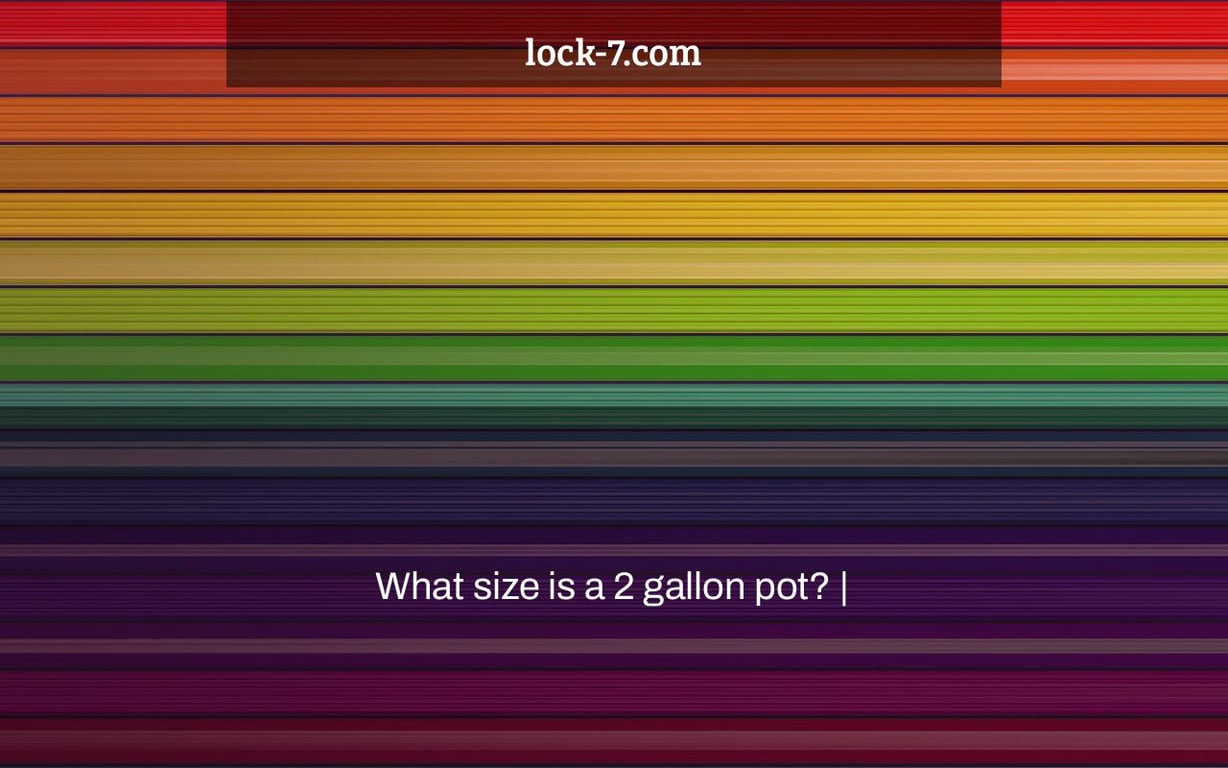 What size is a 2 gallon pot? |