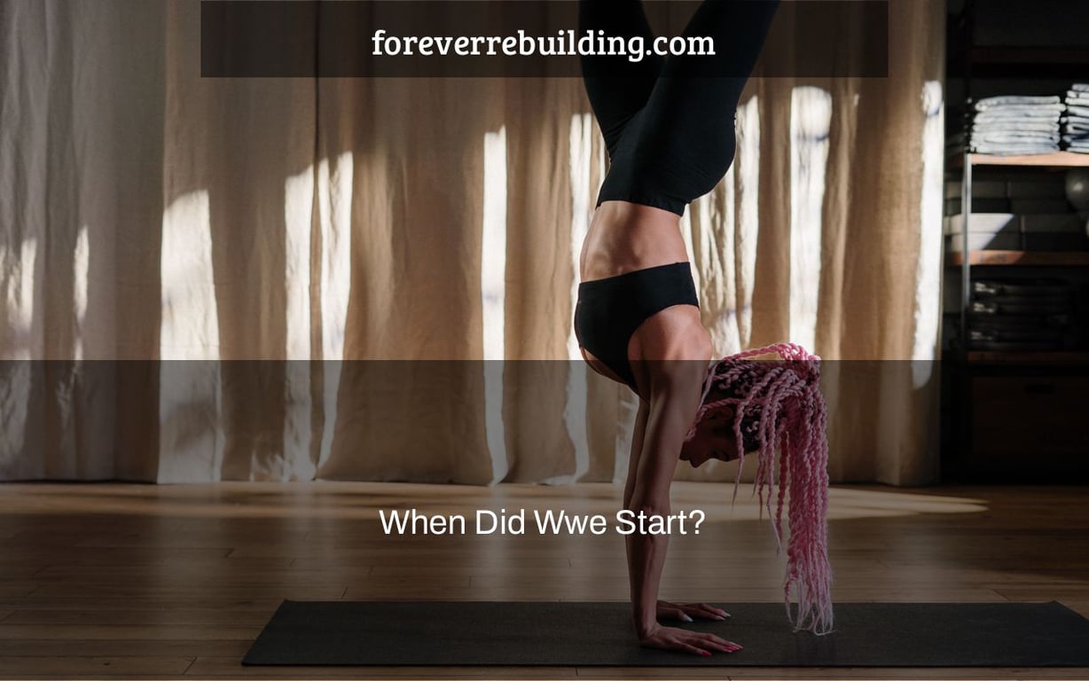 When Did Wwe Start?