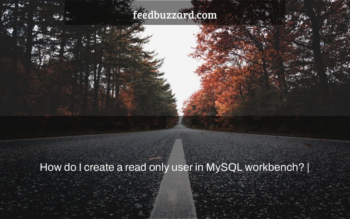 How do I create a read only user in MySQL workbench? |
