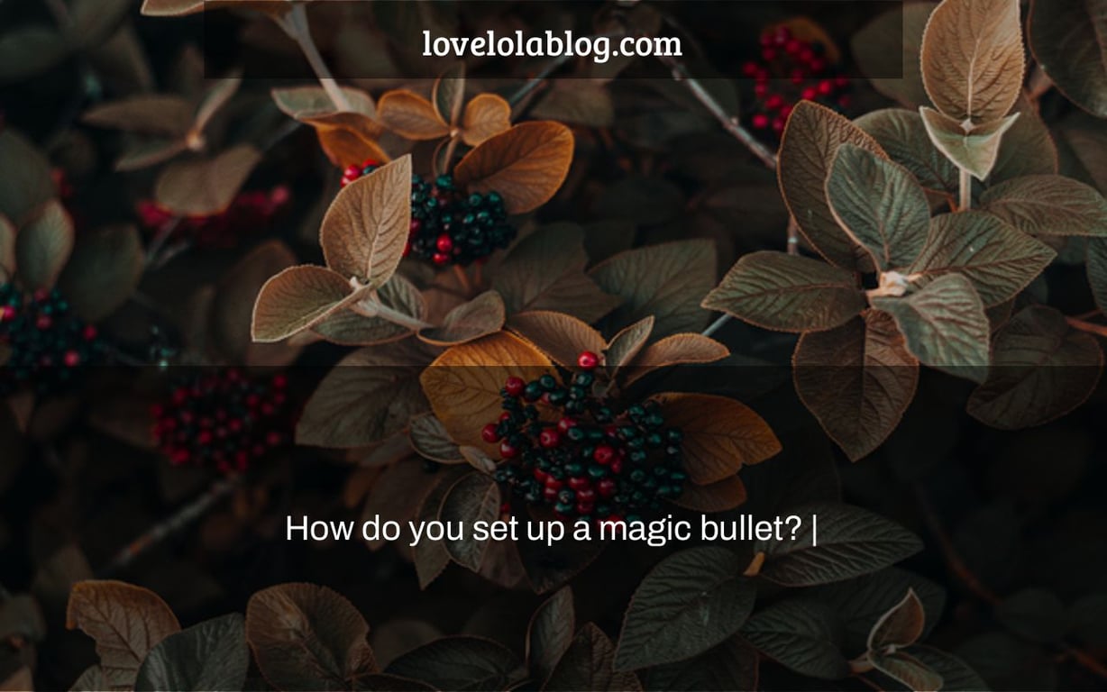 How do you set up a magic bullet? |