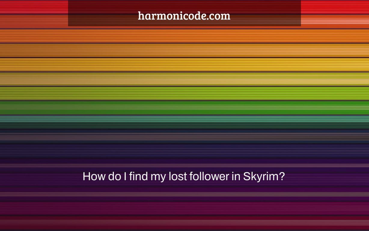 How do I find my lost follower in Skyrim?