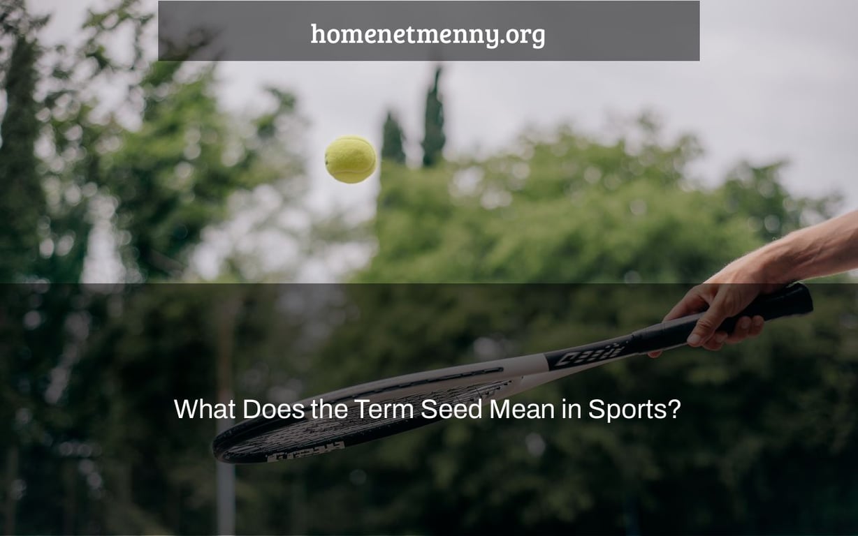 What Does the Term Seed Mean in Sports?