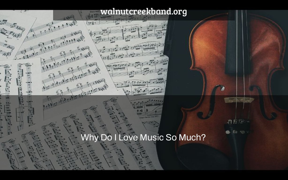 Why Do I Love Music So Much?