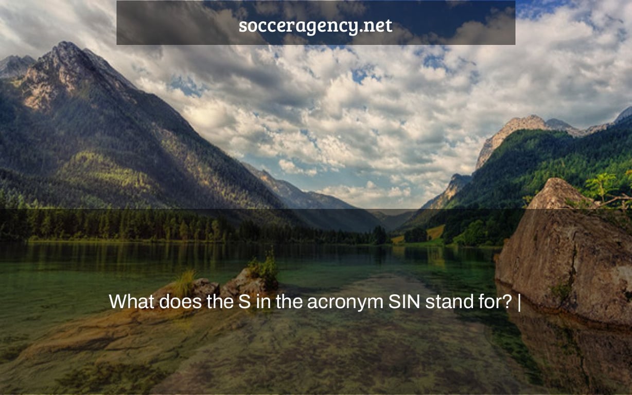 What does the S in the acronym SIN stand for? |