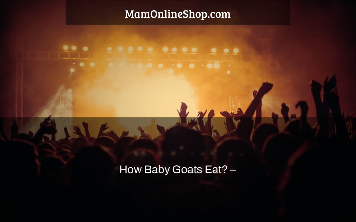 How Baby Goats Eat? –