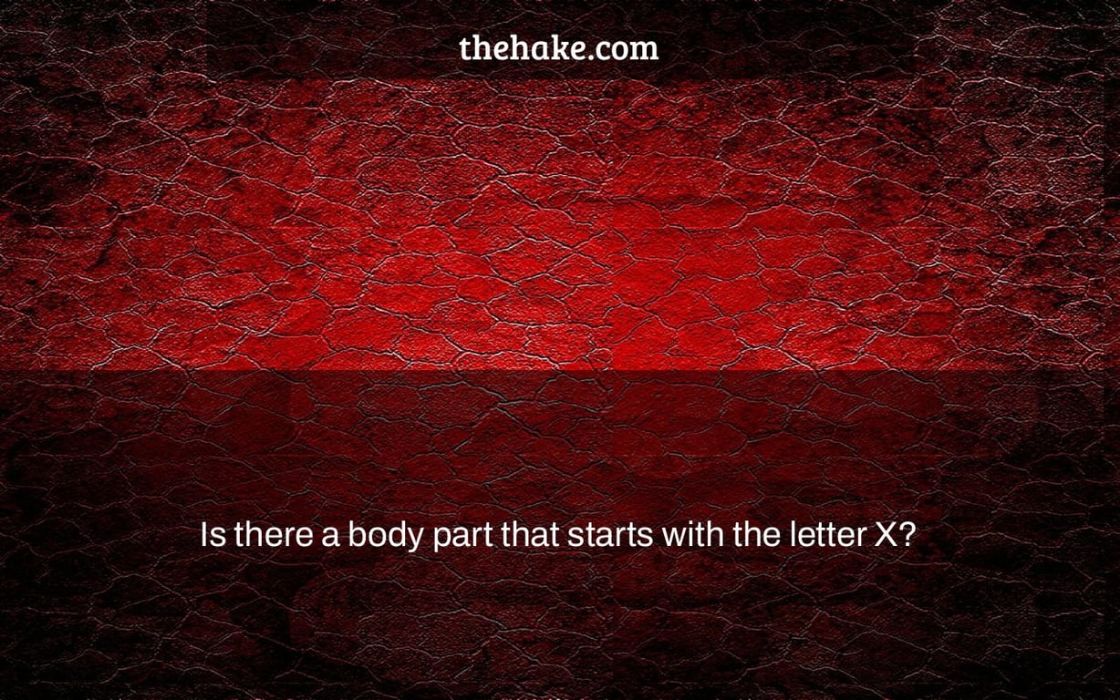 Is there a body part that starts with the letter X?