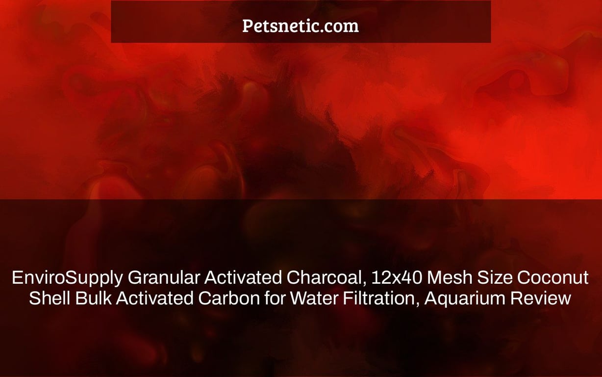 EnviroSupply Granular Activated Charcoal, 12×40 Mesh Size Coconut Shell