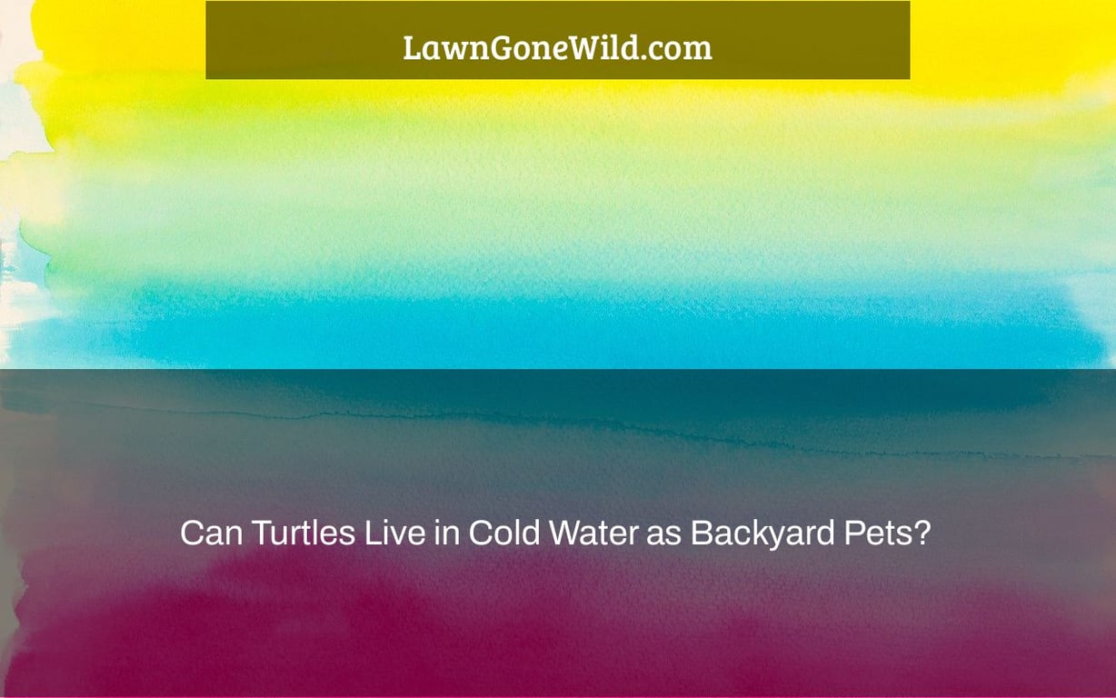 Can Turtles Live in Cold Water as Backyard Pets? Lawn Gone Wild