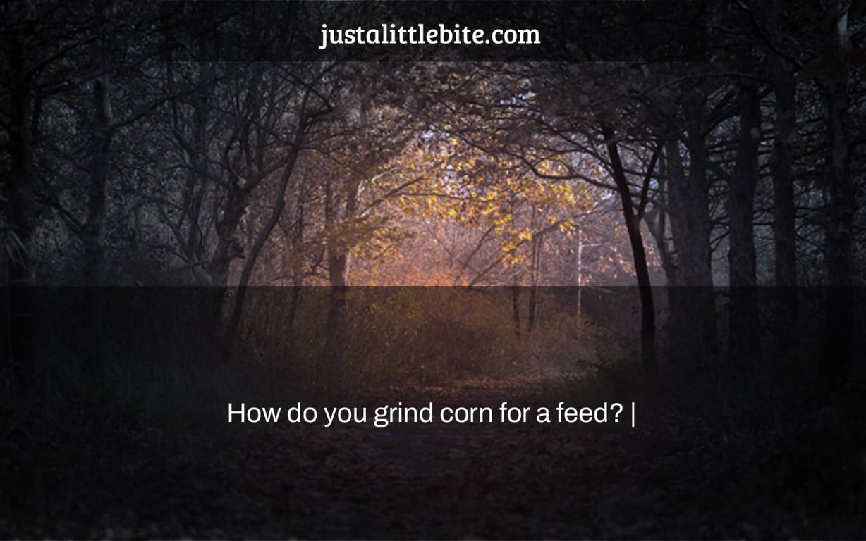 How do you grind corn for a feed? |