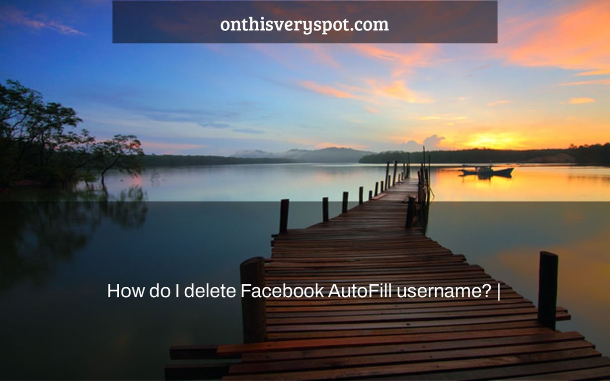 How Do I Delete Facebook AutoFill Username On This Very Spot