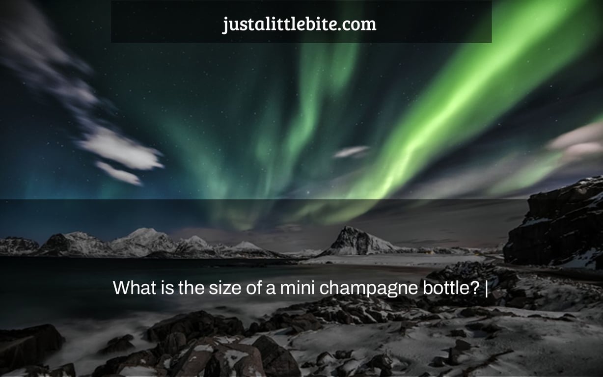 What is the size of a mini champagne bottle? |