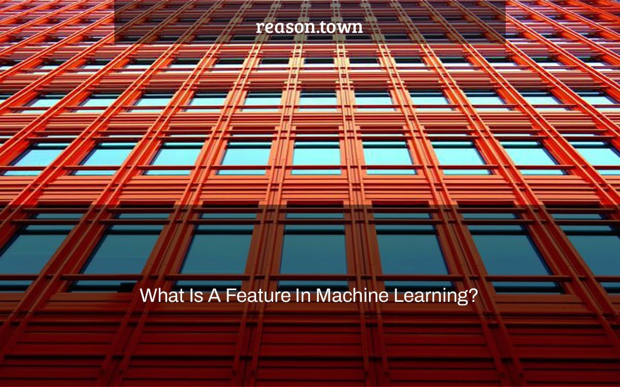 What Is A Feature In Machine Learning?