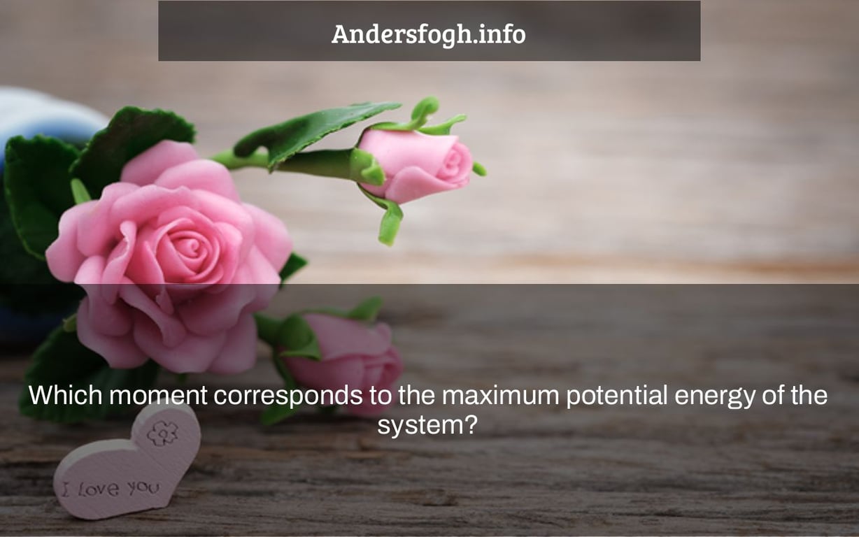 Which moment corresponds to the maximum potential energy of the system?