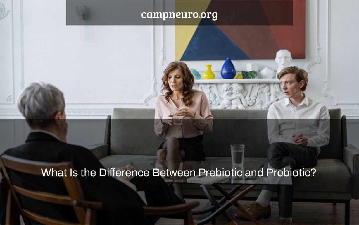 What Is the Difference Between Prebiotic and Probiotic?
