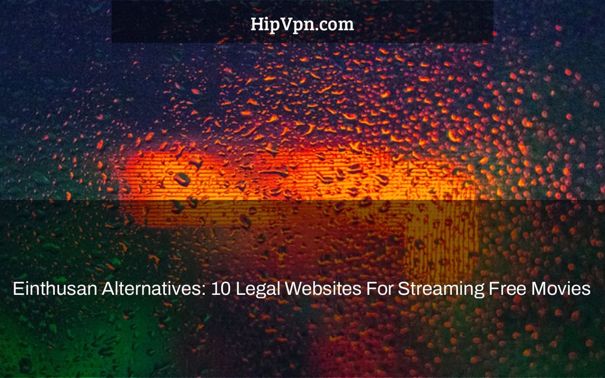 Fertilizer for Tomatoes: Everything You Should Know and Our Recommendations