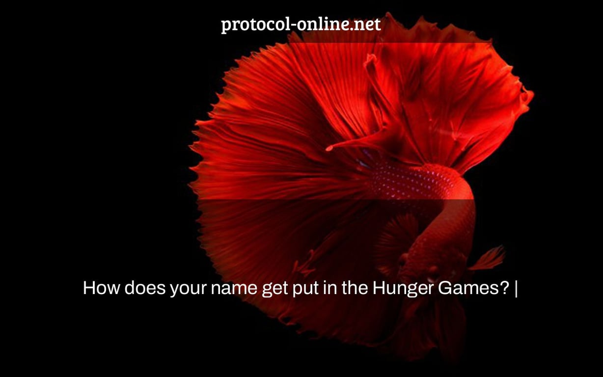 How does your name get put in the Hunger Games? |