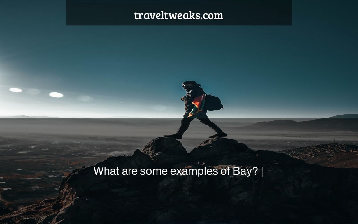 What are some examples of Bay? |
