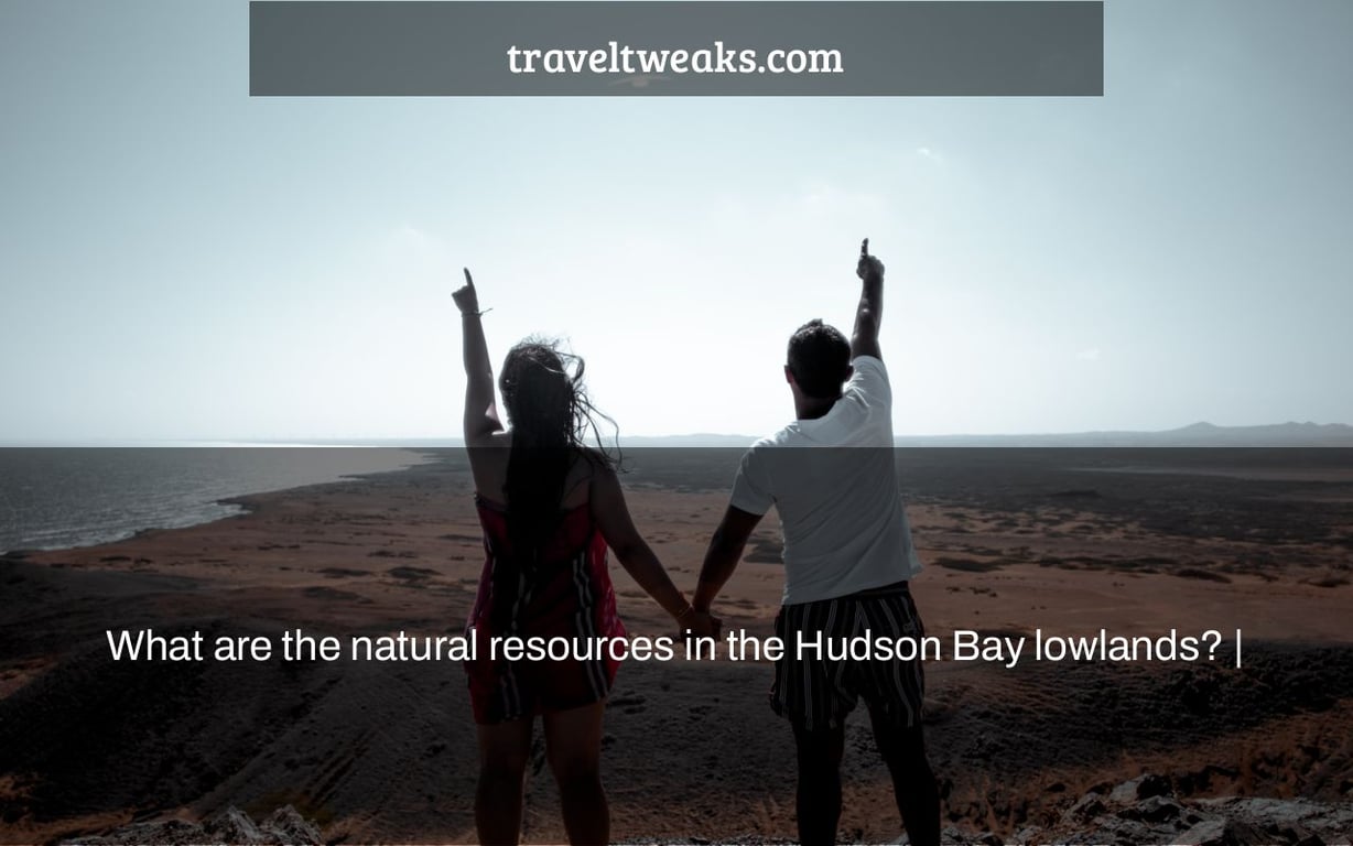 What are the natural resources in the Hudson Bay lowlands? |