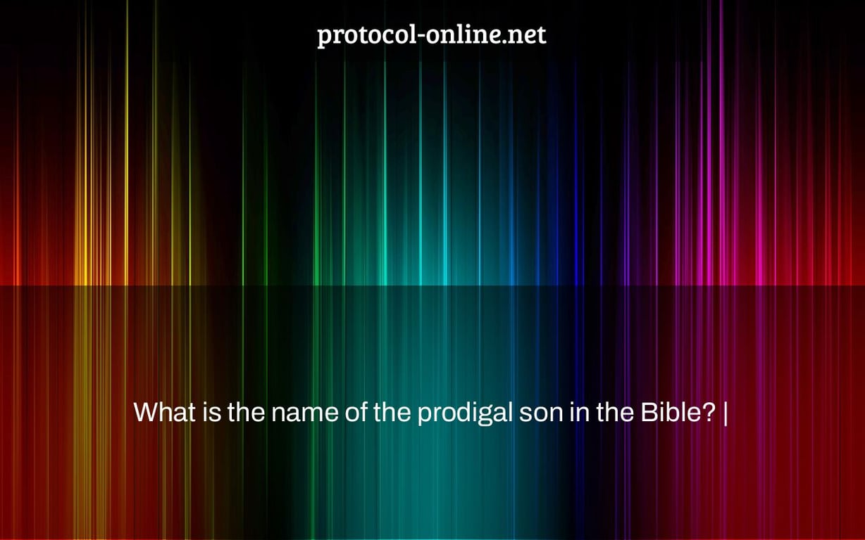 What is the name of the prodigal son in the Bible? |