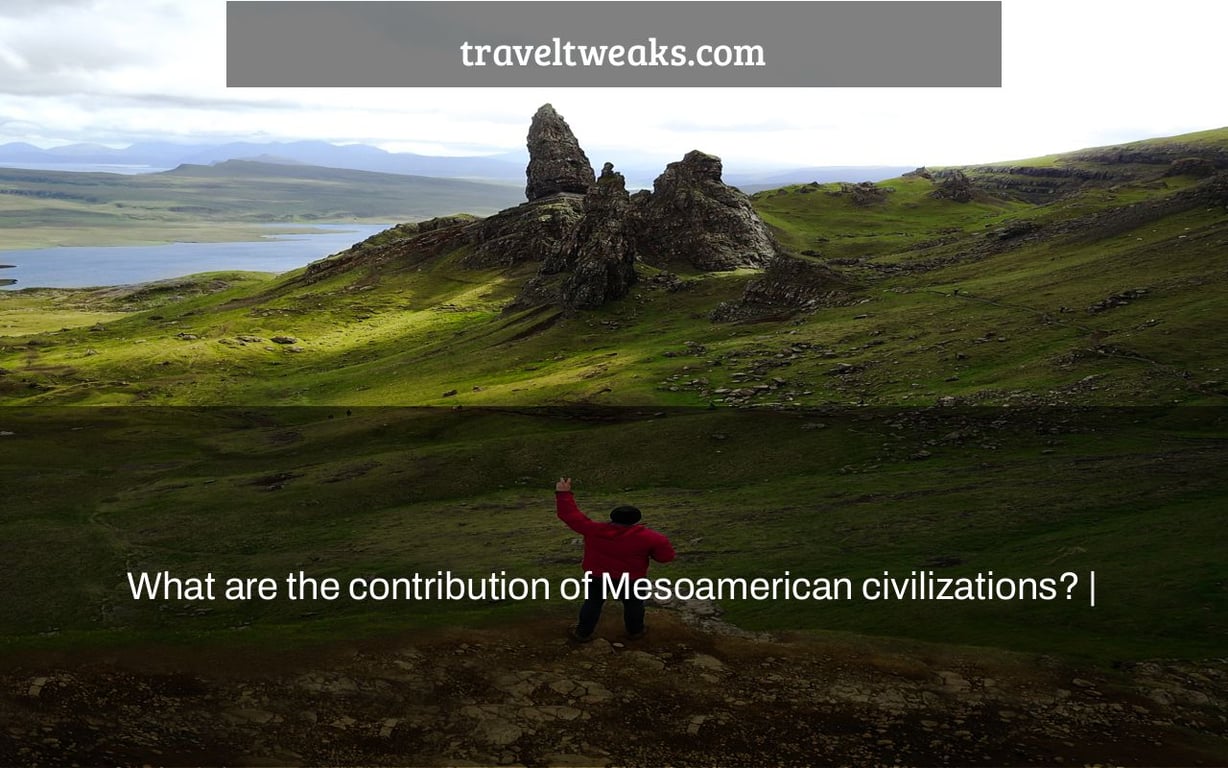 What are the contribution of Mesoamerican civilizations? |