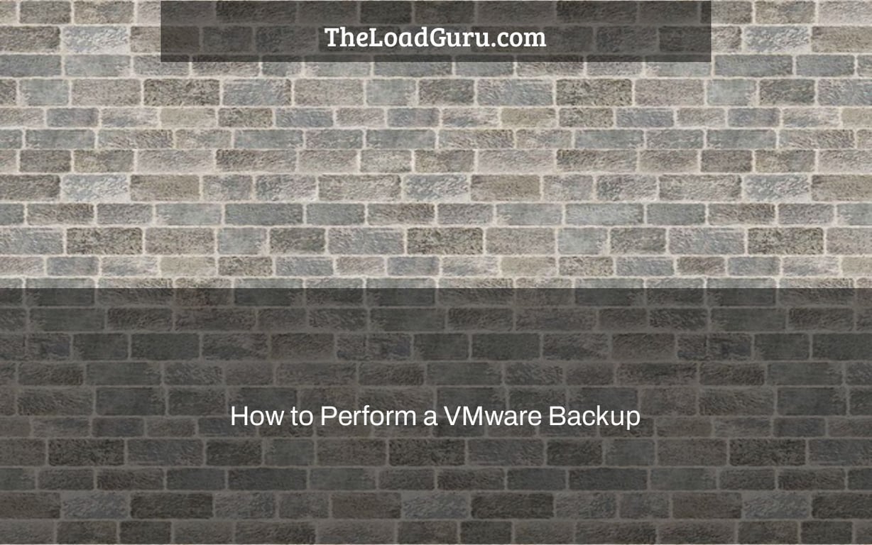 How to Perform a VMware Backup & Best Practices