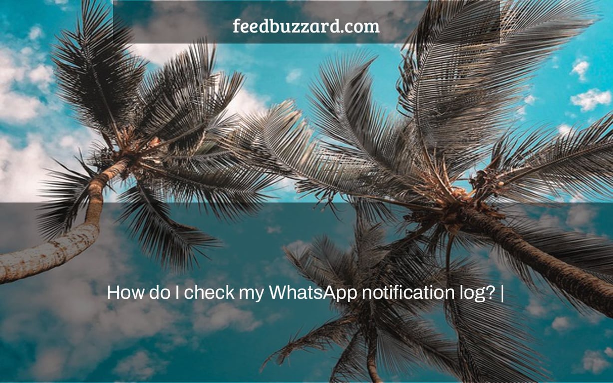 How do I check my WhatsApp notification log? |