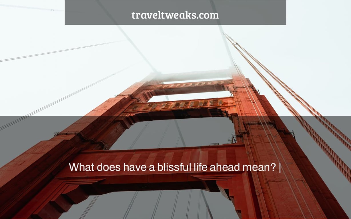 What does have a blissful life ahead mean? |