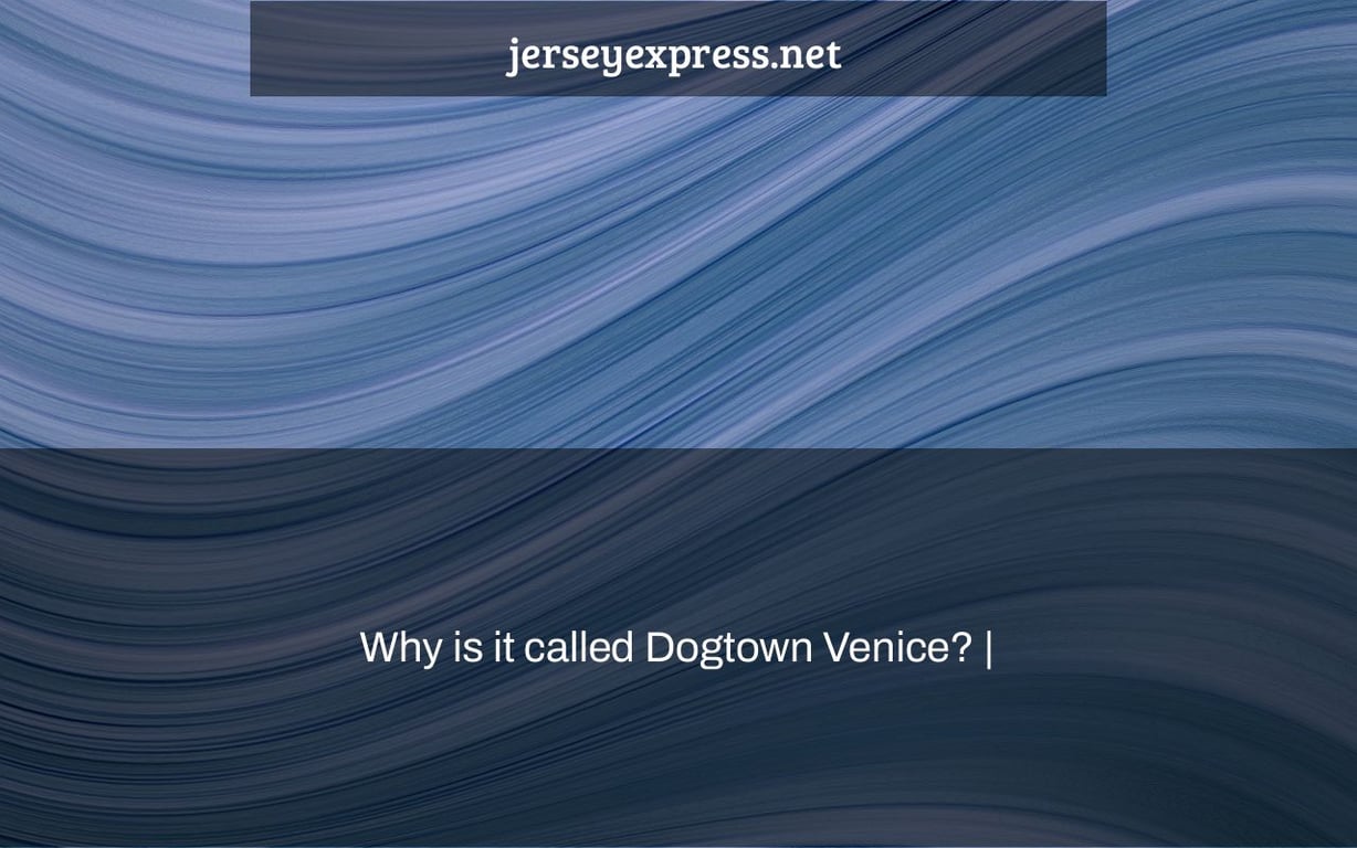 Why is it called Dogtown Venice? |