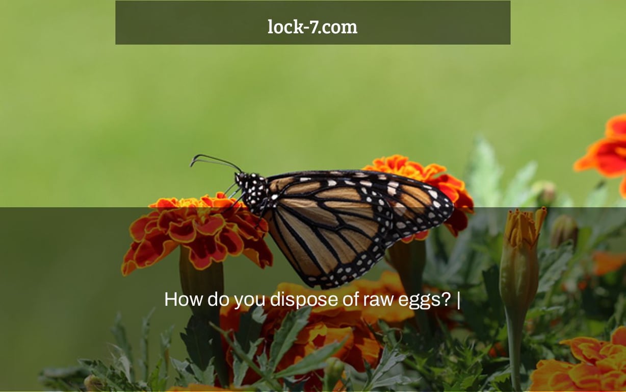 How do you dispose of raw eggs? |