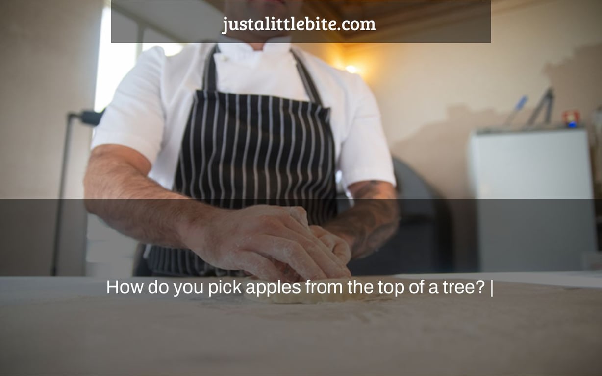 How do you pick apples from the top of a tree? |