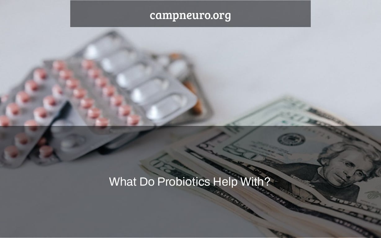 What Do Probiotics Help With? Camp Neuro