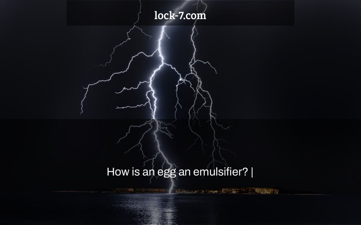 How is an egg an emulsifier? |