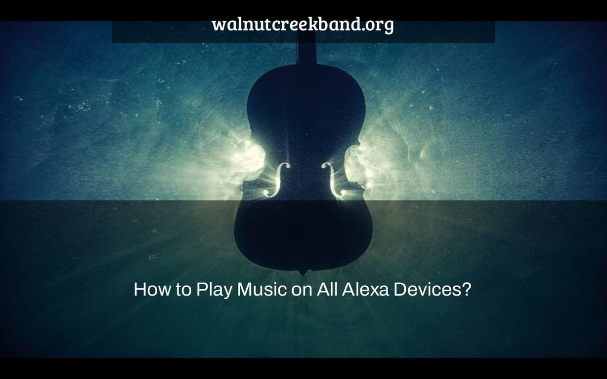 How to Play Music on All Alexa Devices?