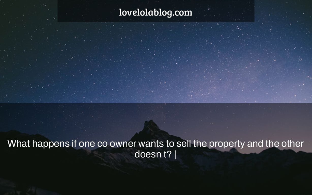 What happens if one co owner wants to sell the property and the other doesn t? |