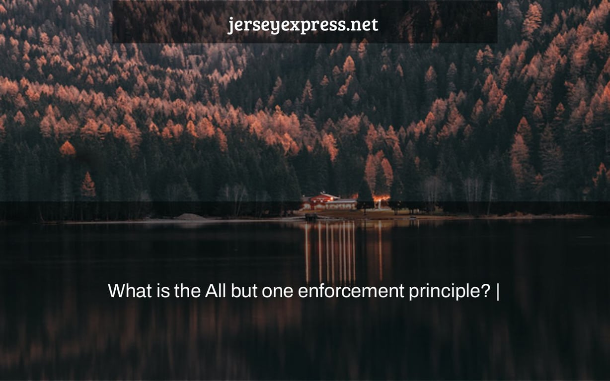 What is the All but one enforcement principle? |