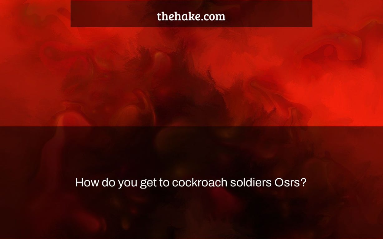 How do you get to cockroach soldiers Osrs?