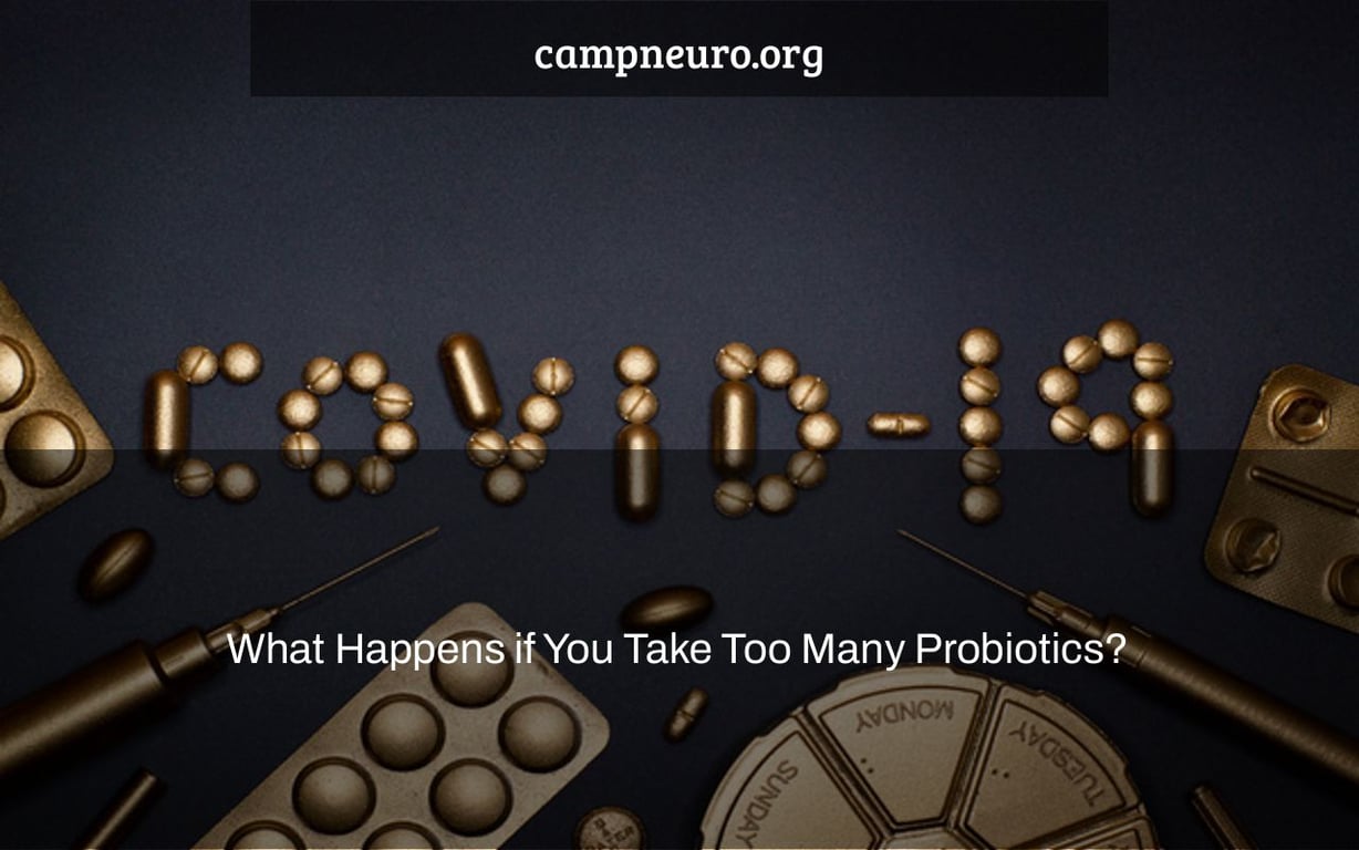 What Happens if You Take Too Many Probiotics? Camp Neuro