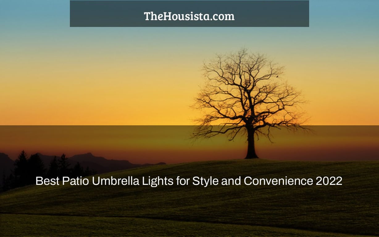 Best Patio Umbrella Lights for Style and Convenience 2022